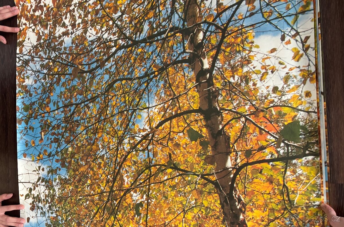 Obrazová tapeta Podzimní romance - 4