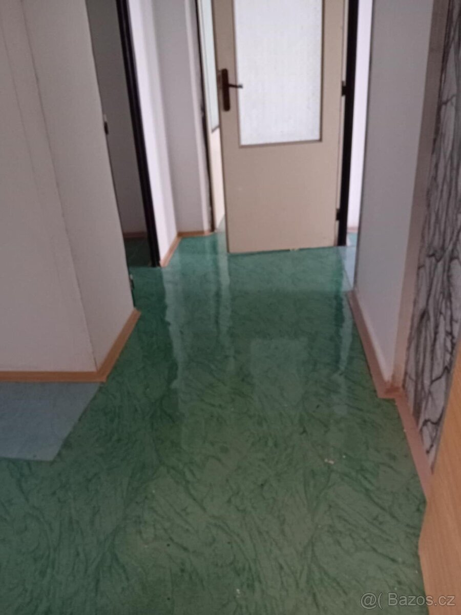 Pronajmu útulné byty o velikosti 0+1, 1+1,2+1,3+1 - 4