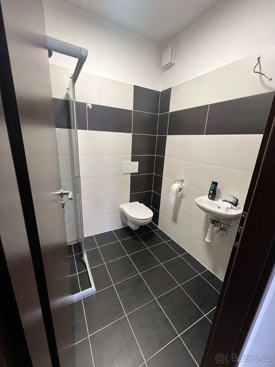 Pronájem rodinného domu - 4