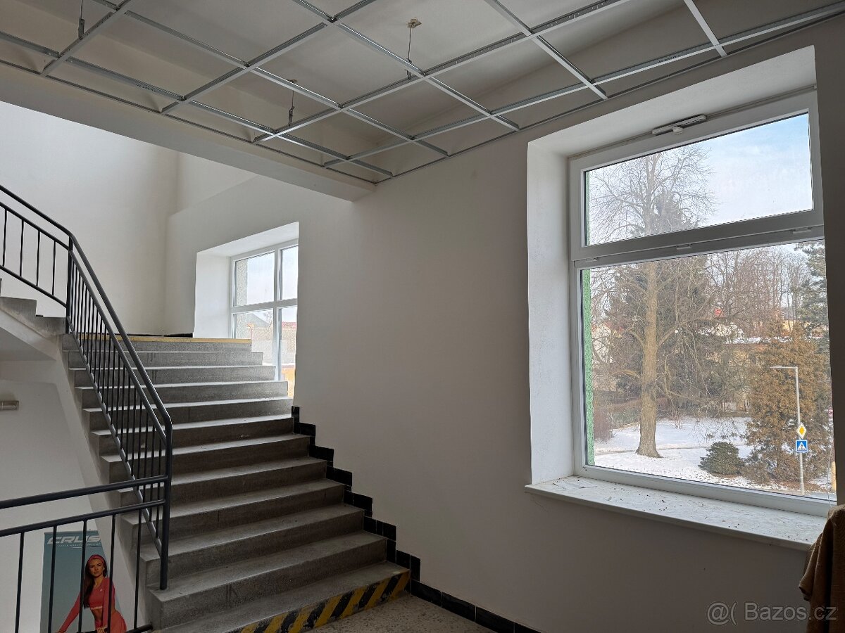 Pronájem nebytových prostor - 4