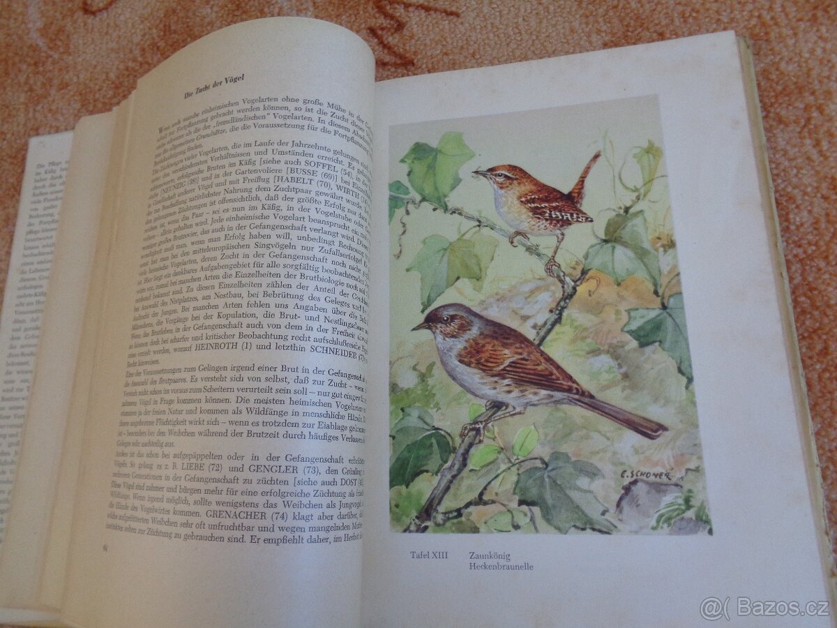 Kniha o chovu ptáků z roku 1954 v němčině - 4