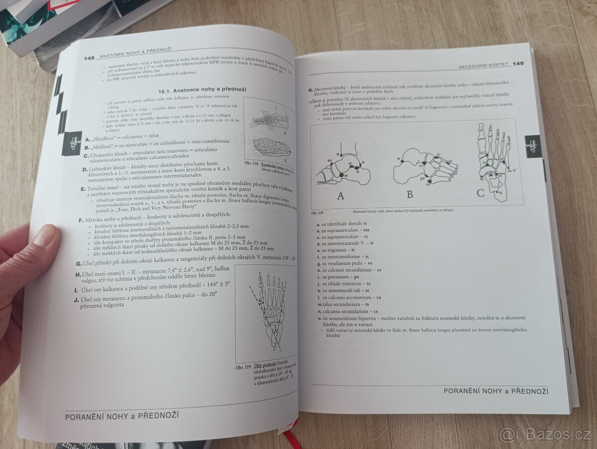 Radiologické nálezy : jak je psát a interpretovat - 4