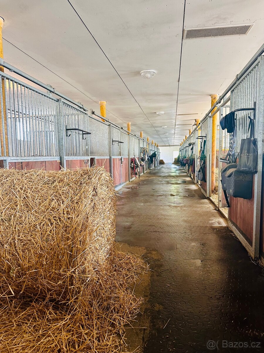Nabízíme ustájení koně okr. Uherský Brod - 4