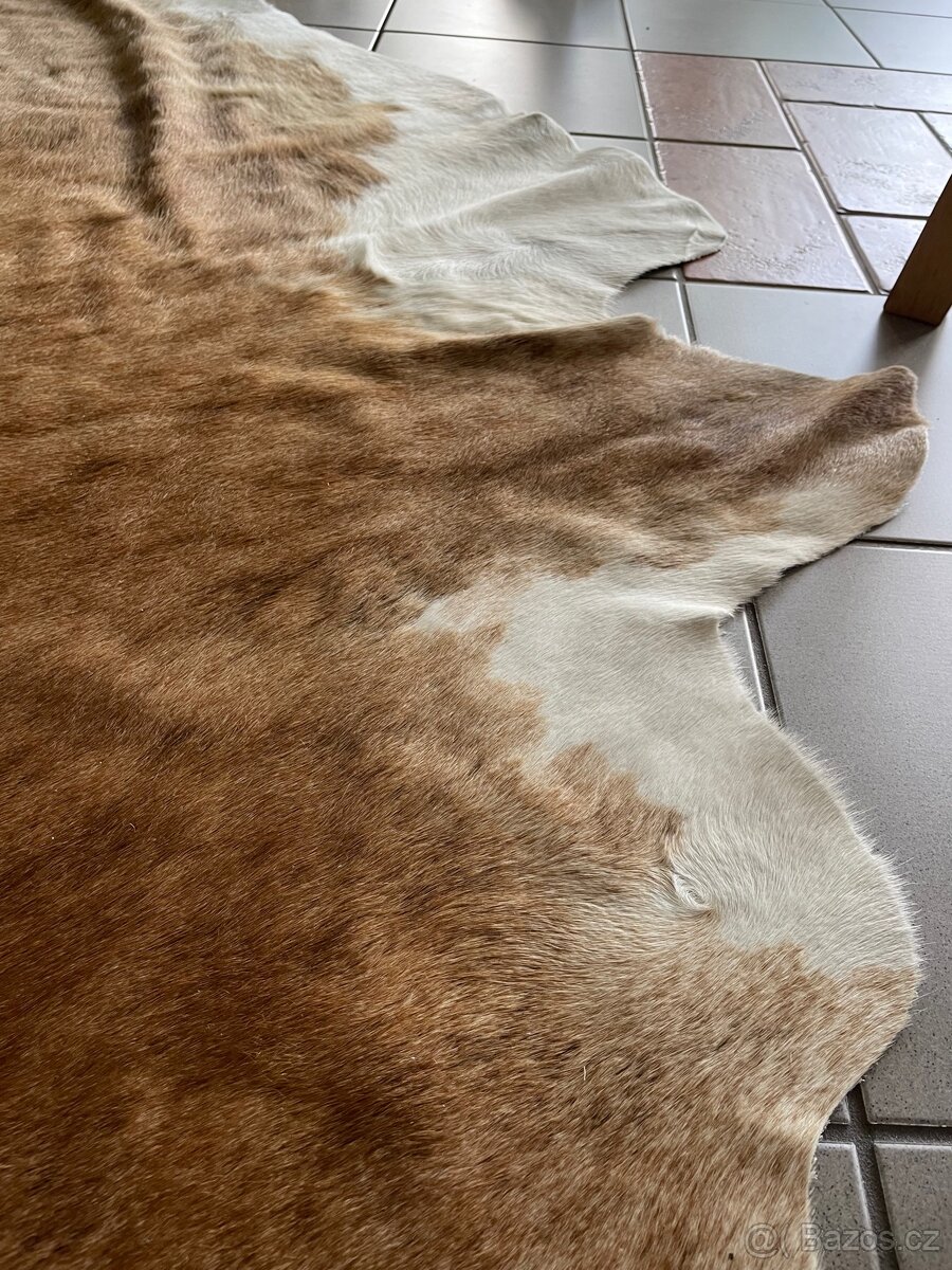 Pravá kůže z krávy - 4
