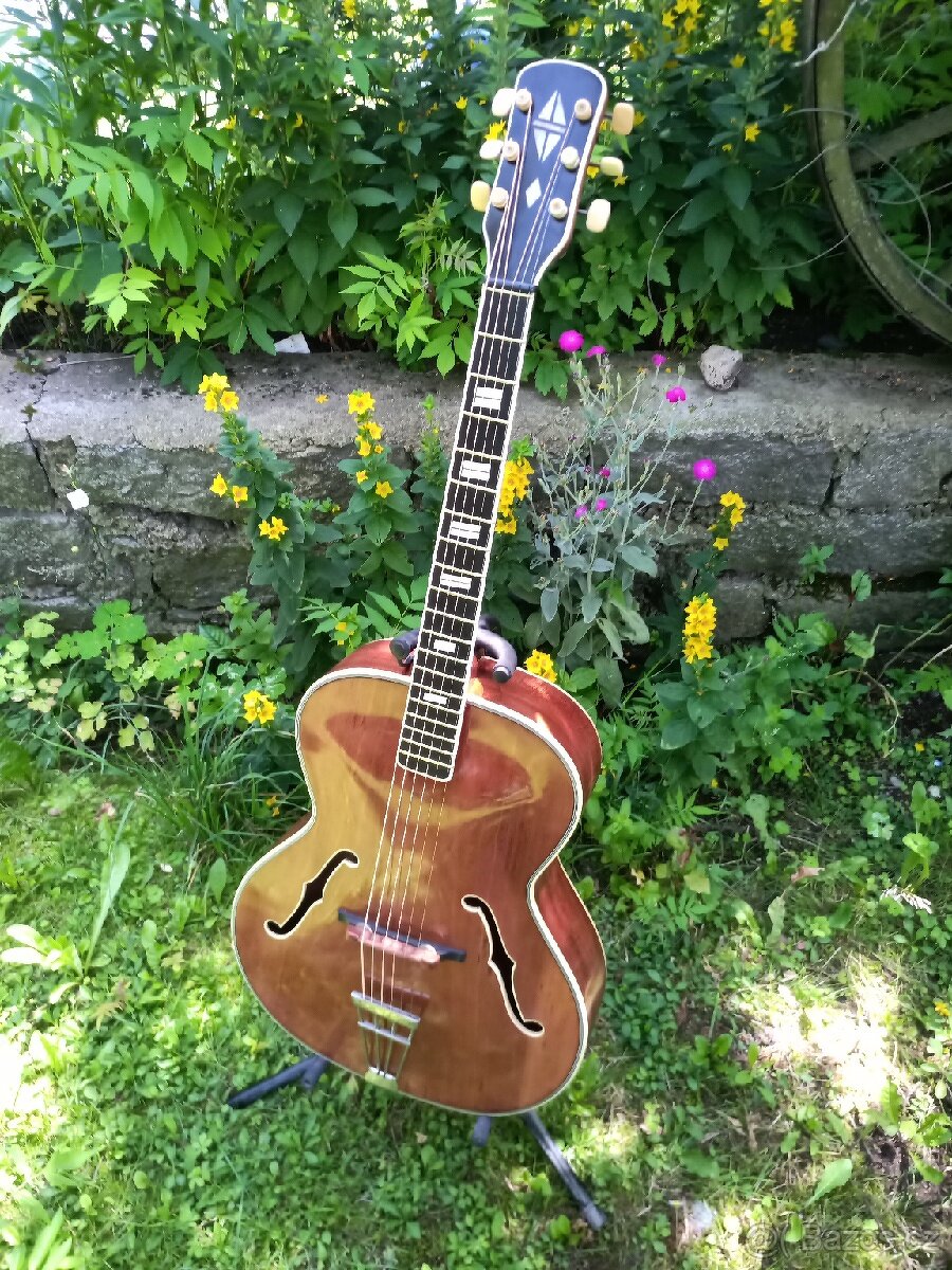 Cremona, Brauer, Stará kytara,Gibson - 4