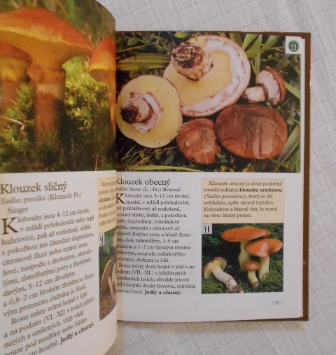 Kapesní atlas hub - Reader´s Digest Výběr 2003 - 4