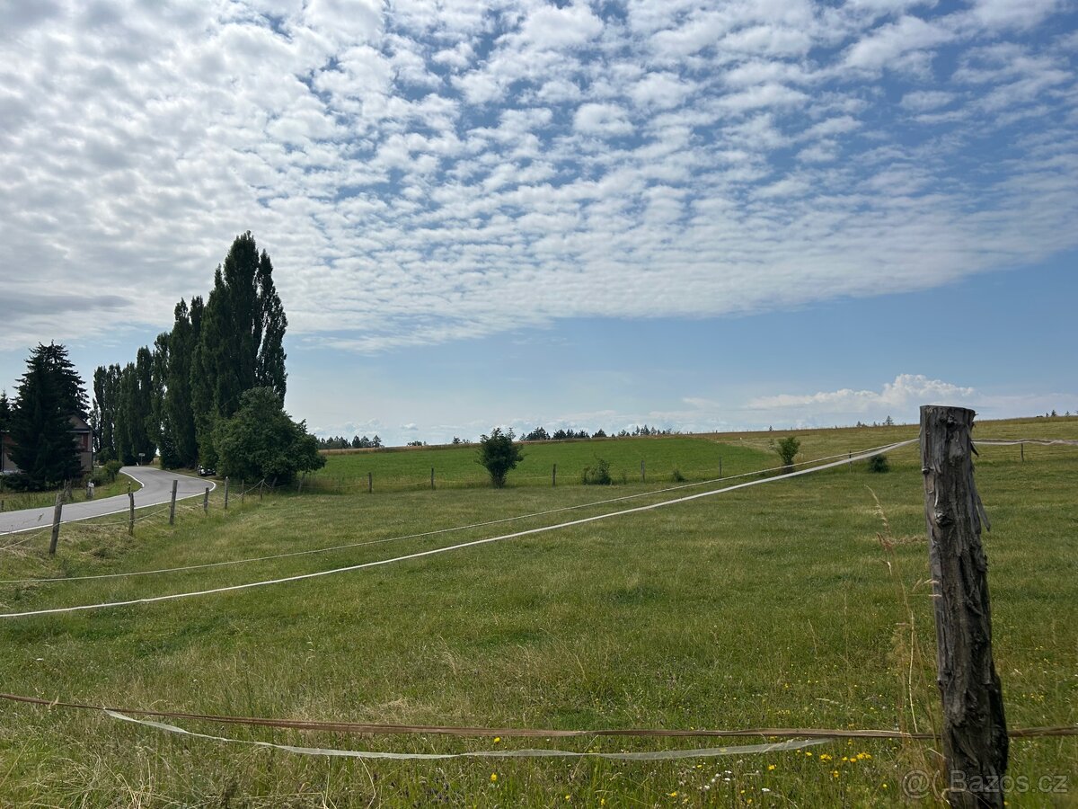 Pastevní areál - 4