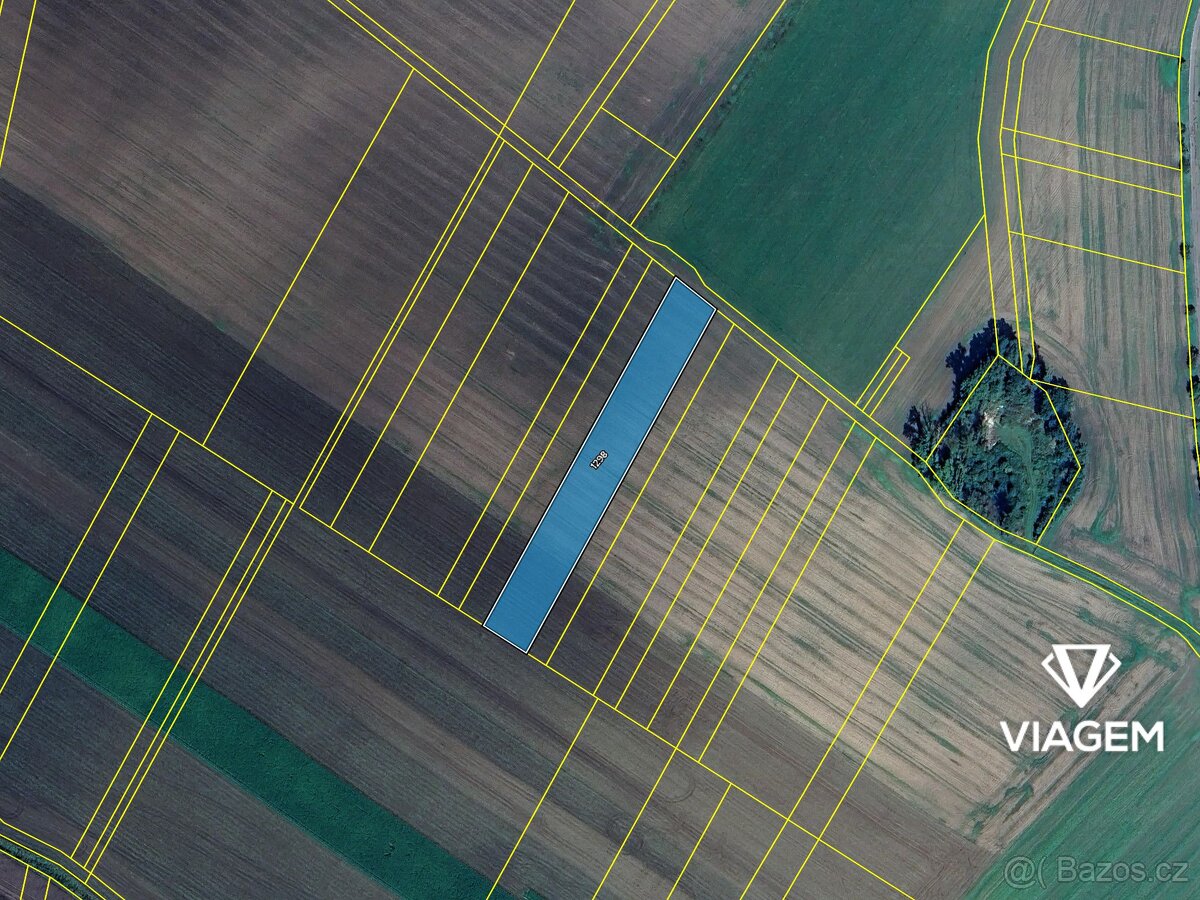 Pole 5 882 m², Podíl 17 % o výměře 980 m² - 4