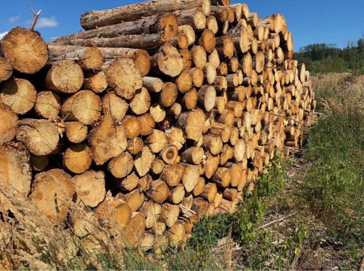 Palivové dřevo - 4