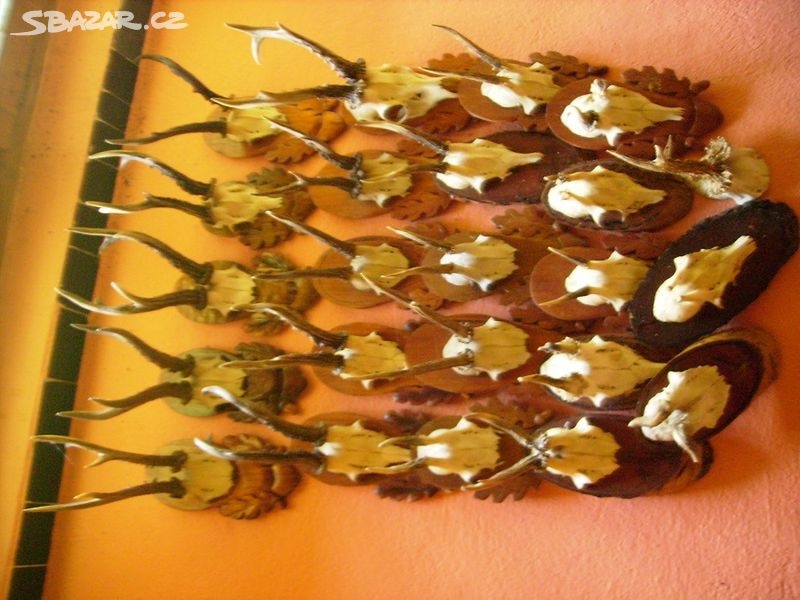 MYSLIVECKÉ TROFEJE - PAROŽÍ - 4