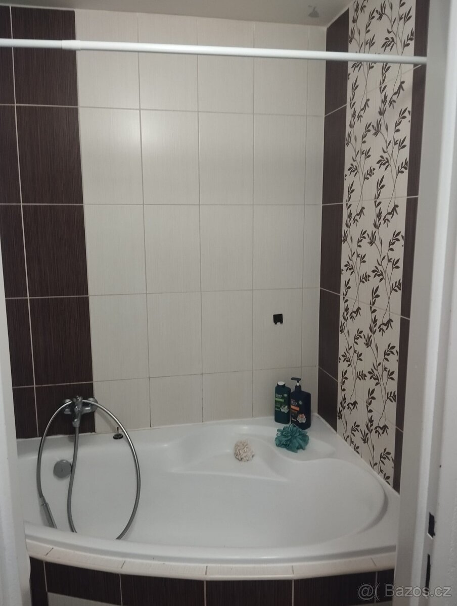 Pronájem Ostrava - 4