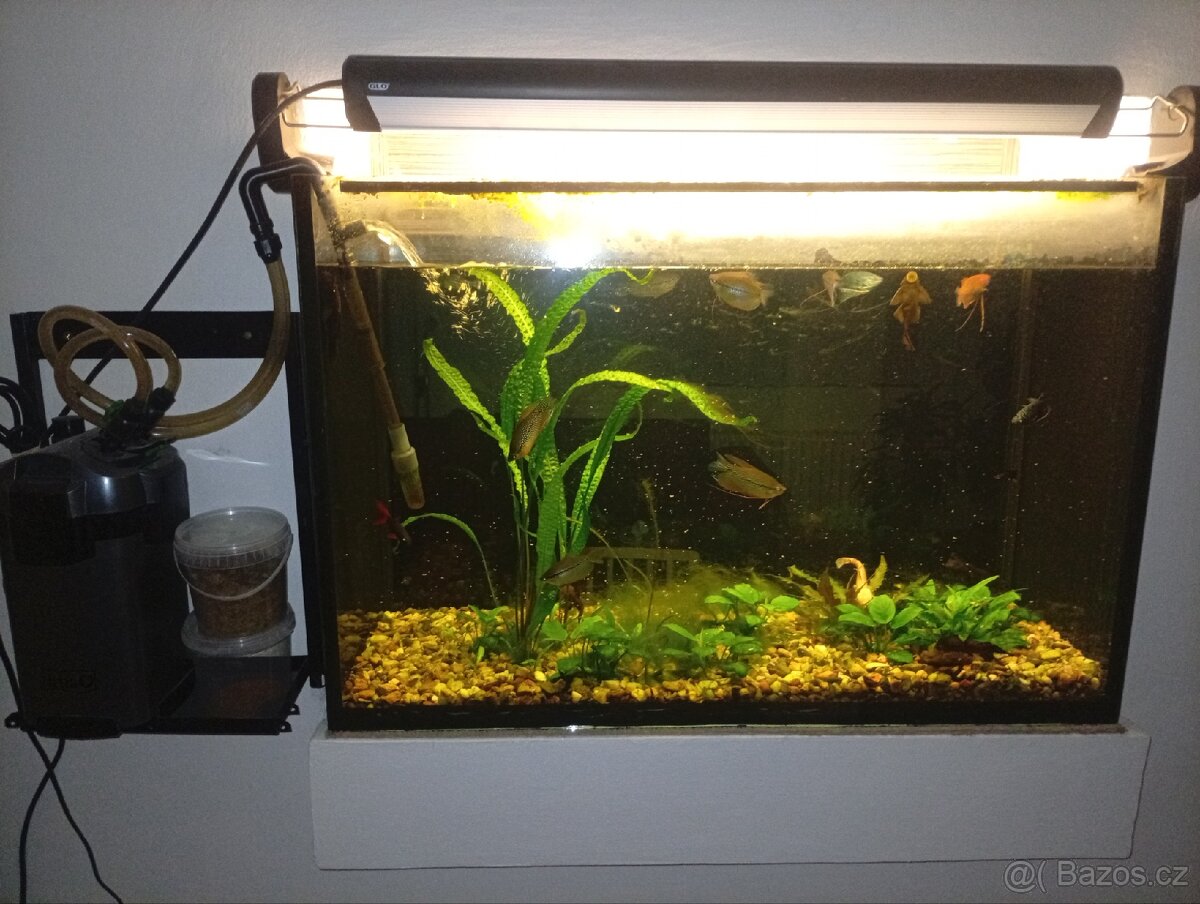 Akvarium - 4