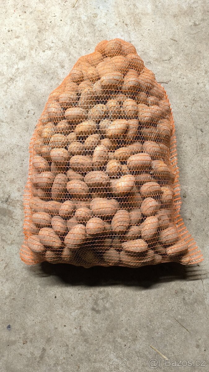 Brambory na uskladnění - 4