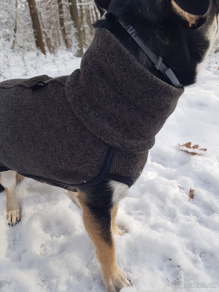 Psí obleček - 4