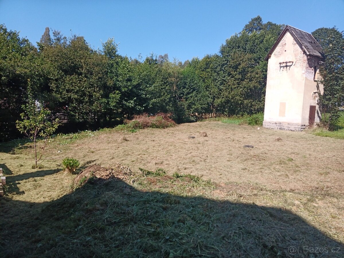 Údržba zahrad, lesů, domů i bytů - hodinový manžel - 4