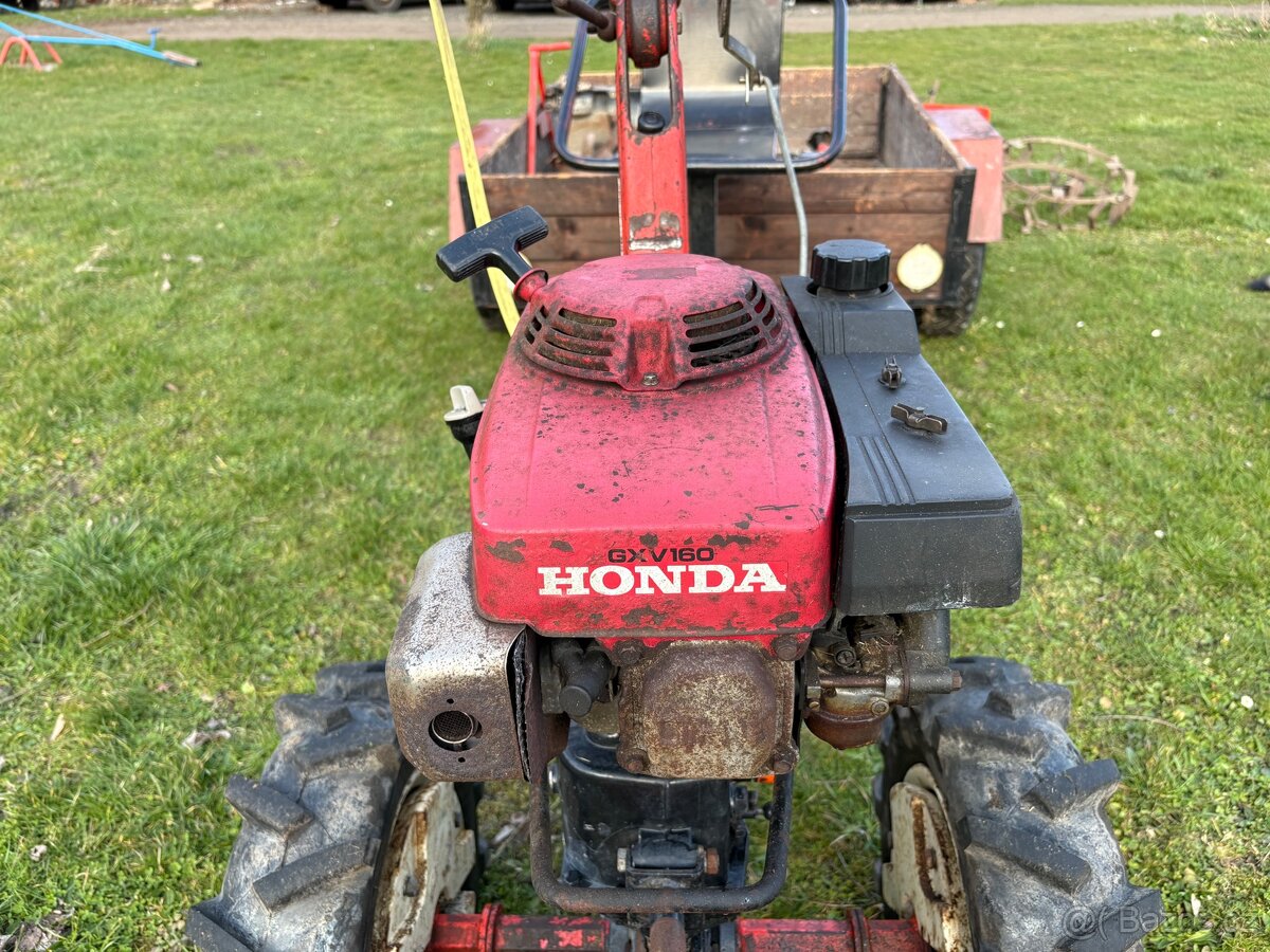 TERRA VARI motor Honda - 4