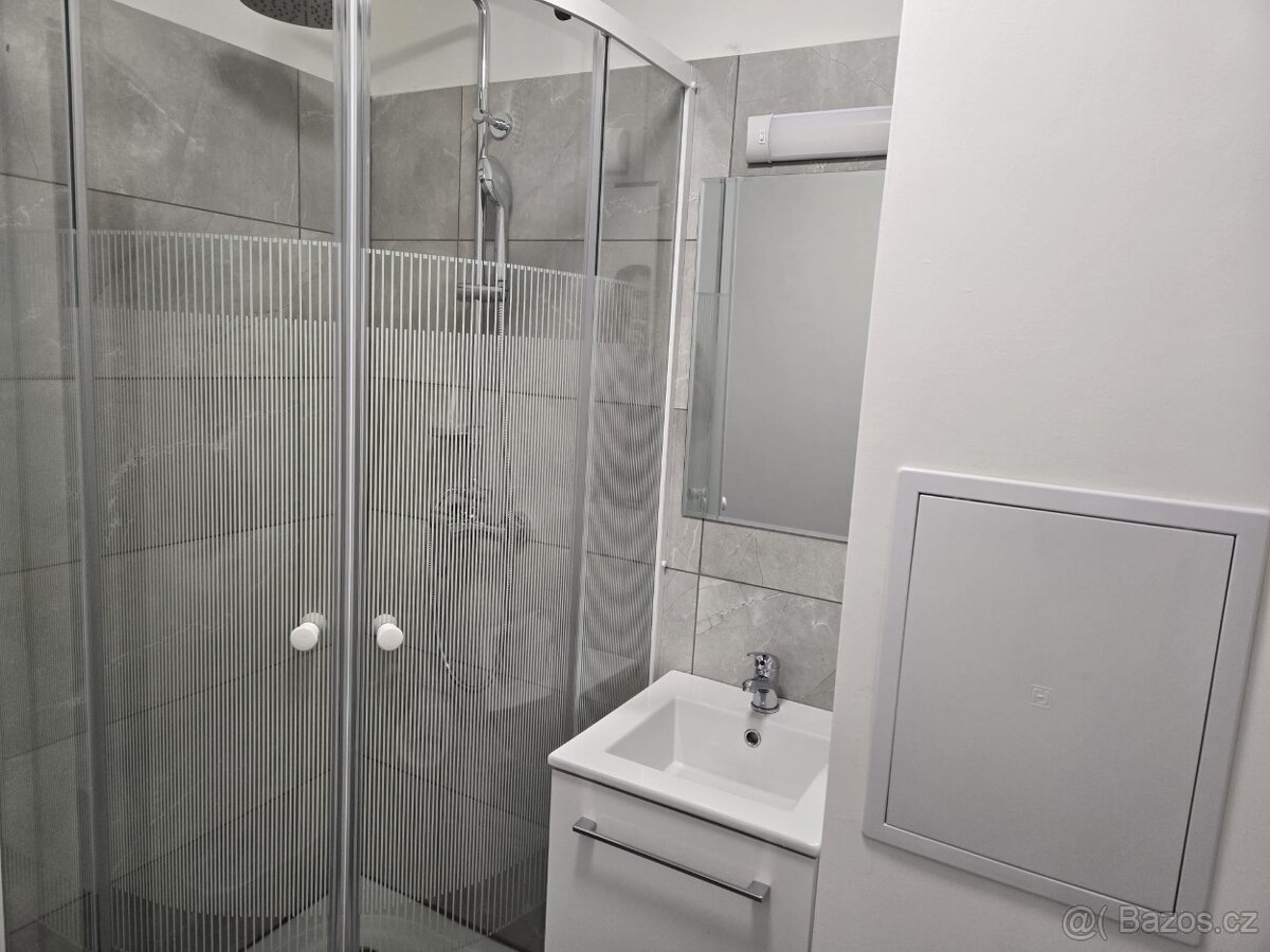 Pronájem 1+kk Chodov, Náměstí 9. května - 4