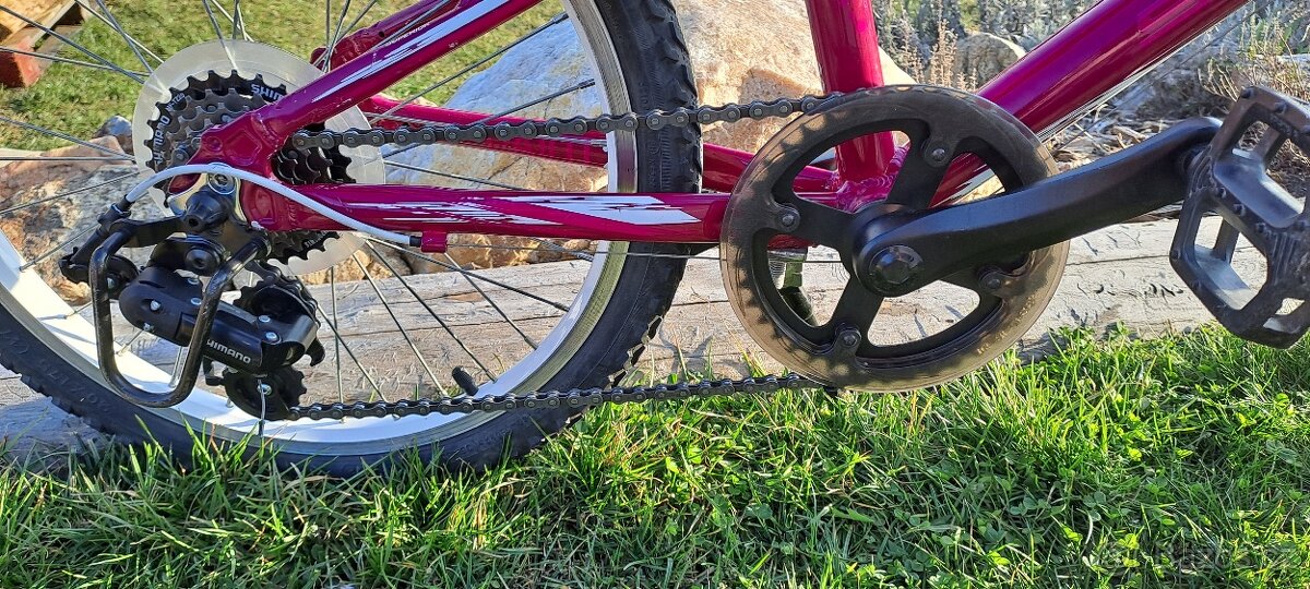 Superior Paint 20"- PĚKNÉ - 4