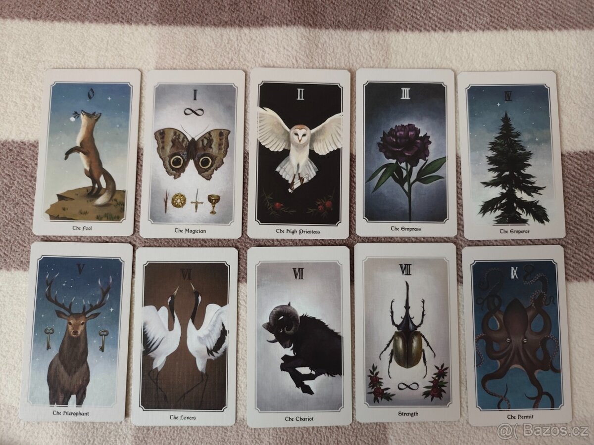 Anima Mundi Tarot - 4