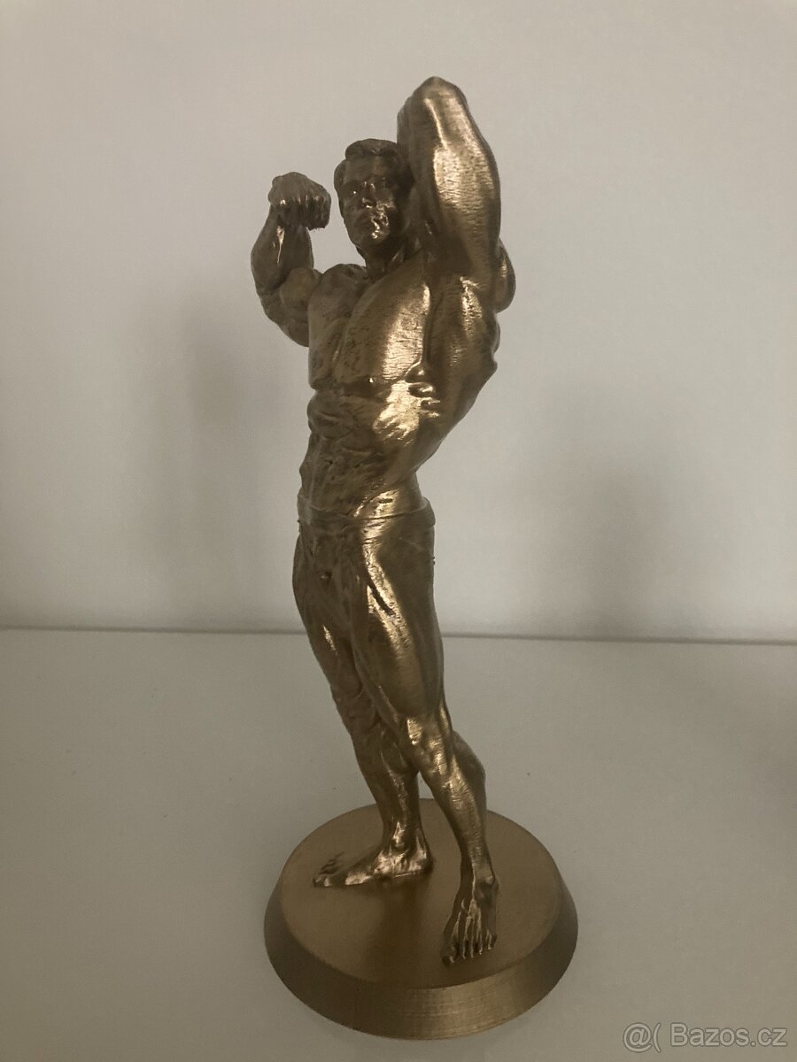 Arnold Schwarzenegger - zlatá soška - 4