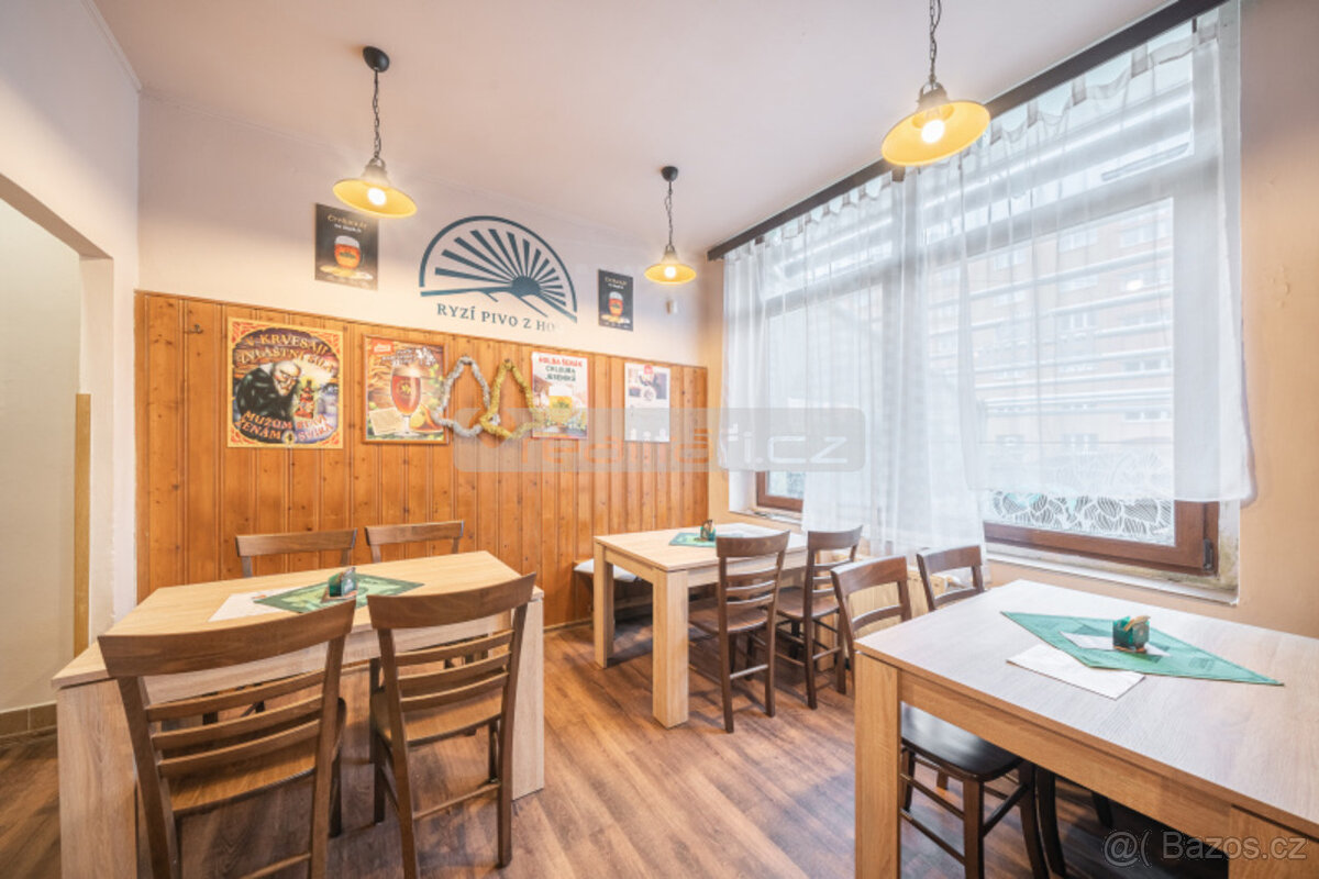 Pronájem komerčních prostor v Plzni, Masarykova ulice - 4