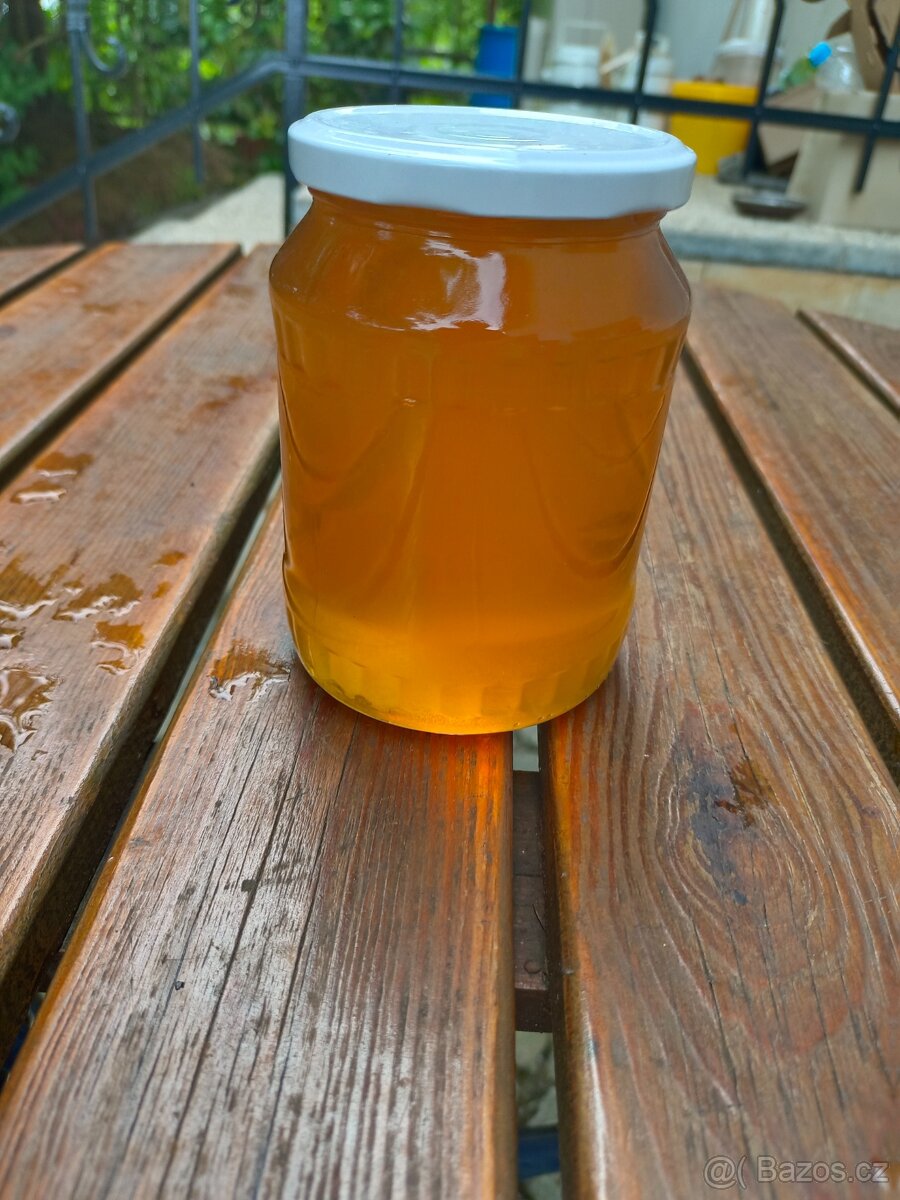 Med lesní právě vytočený za 190 Kč/kg + sklenice s sebou - 4