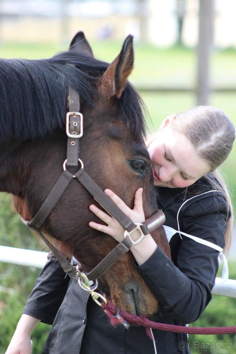 Nabízím k pronájmu - 4