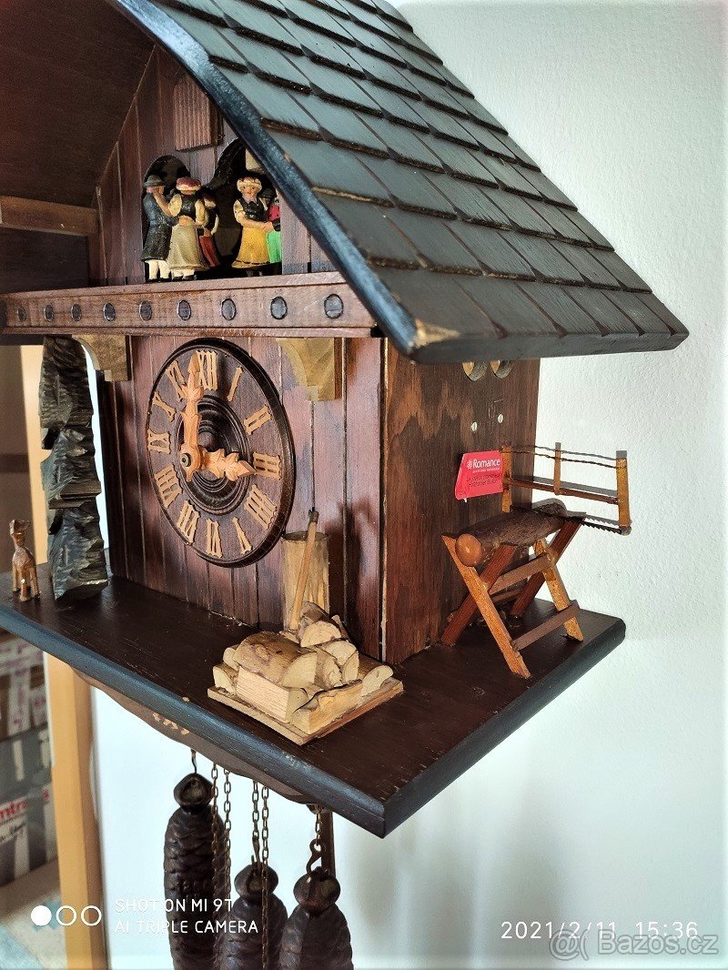 Velke, hraci kukacky, Schwarzwald... - 4