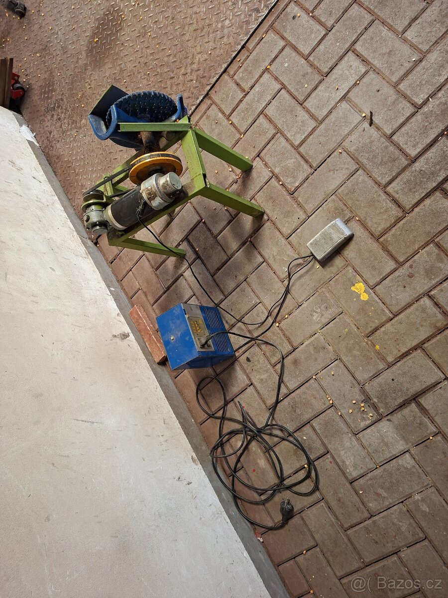 Lopačka na kukuřici - 4