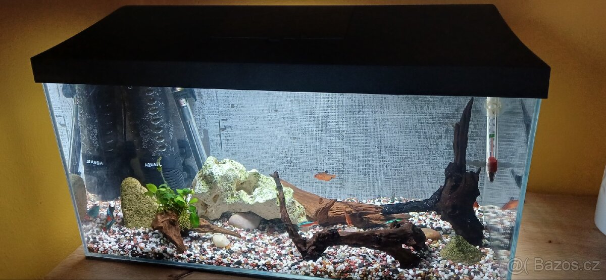 Zařízené akvárium - 4