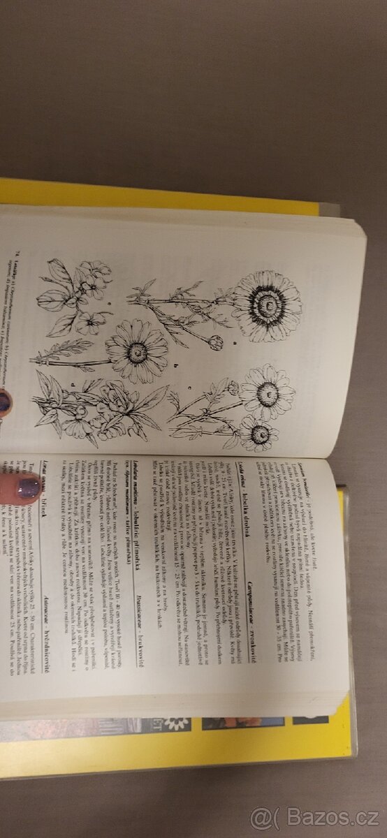 Květinářství Vít a kolektiv - 4