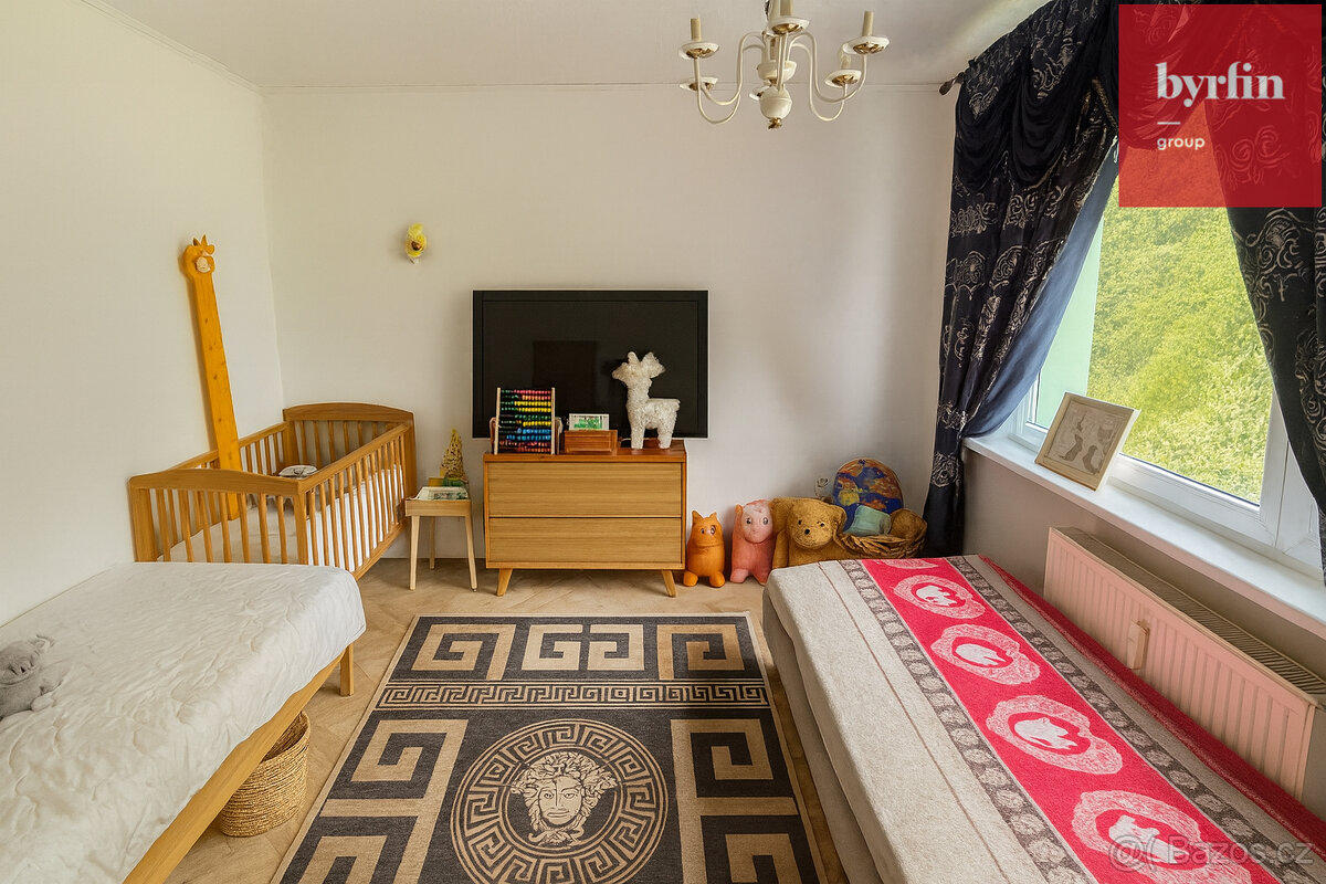 Prodej bytu 2+1, Žulová - 4