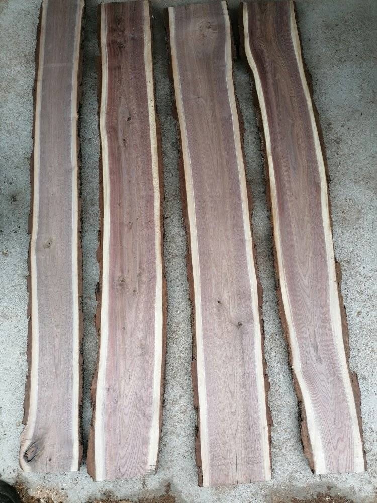 Americký ořech / ořešák černý - 4