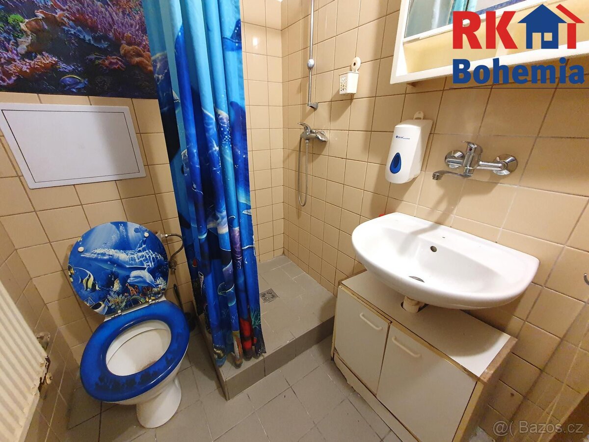 Pronájem bytu 1+1 o CP 30 m2, Mladá Boleslav, ulice Čechova. - 4