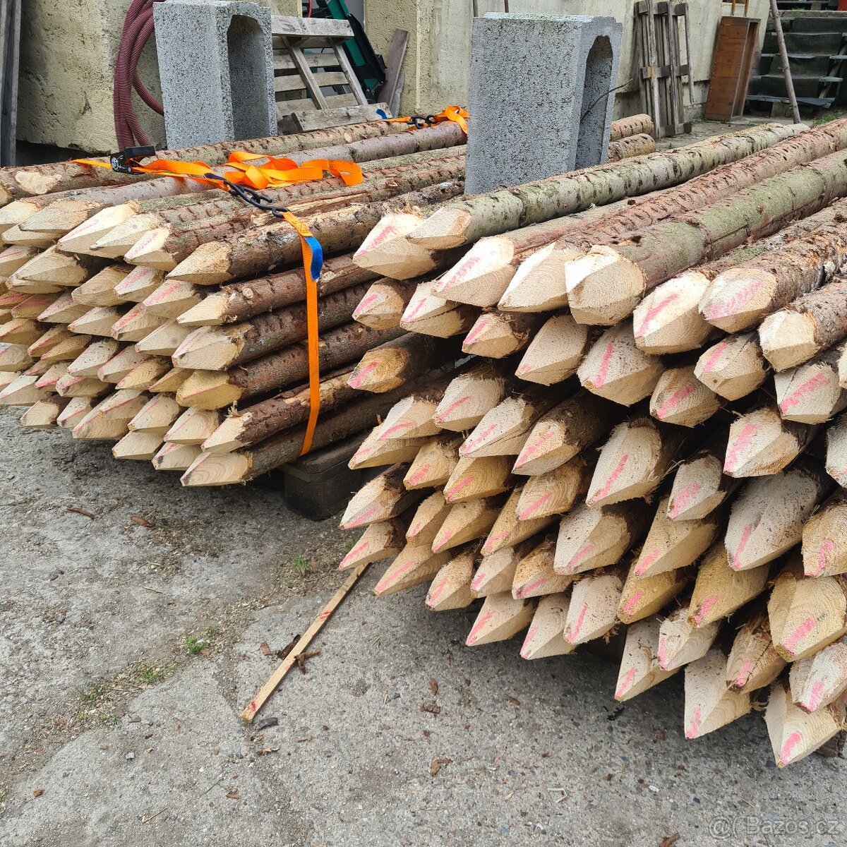 Kůly na oplocení - modřín - 4