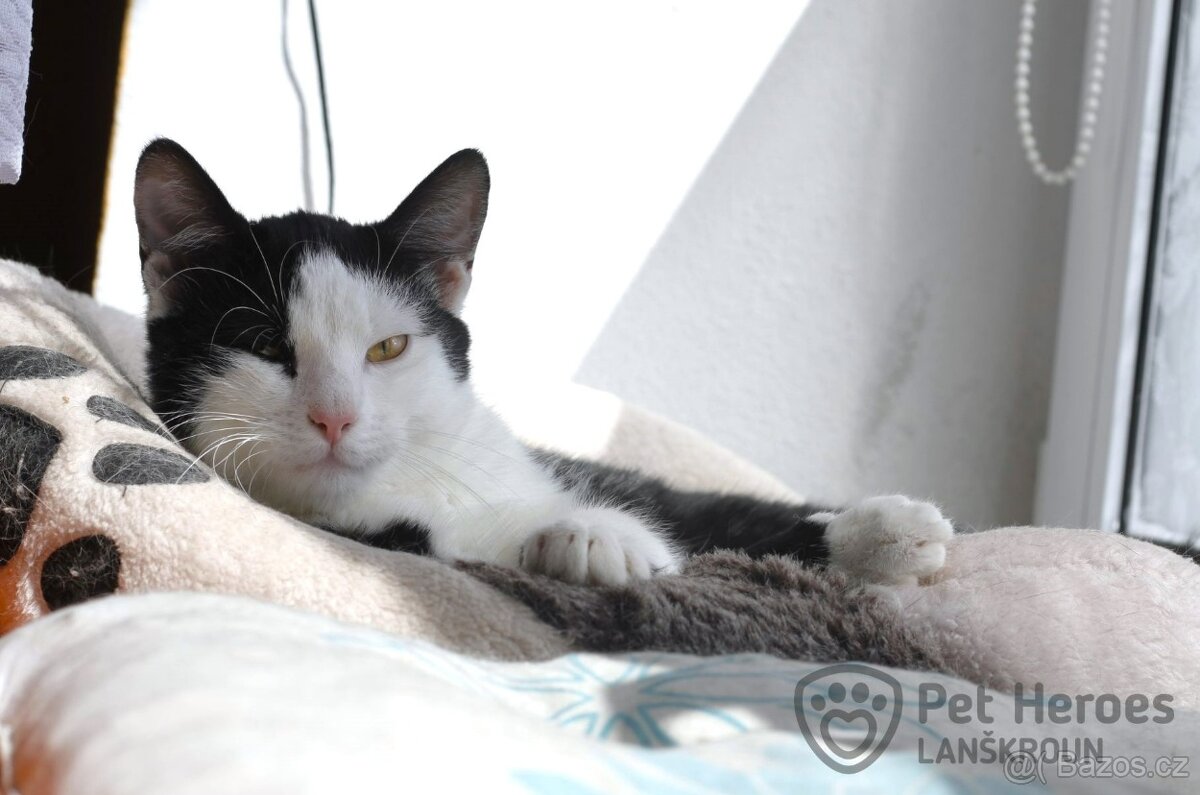 Maverick ❤ citlivý krasavec ❤ - 4