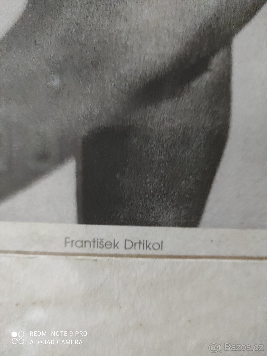 František Drtikol - 4