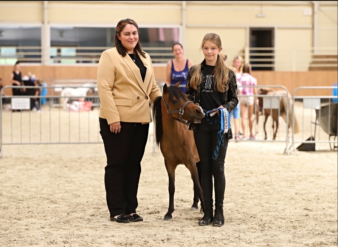 Minihorse klisna - 4