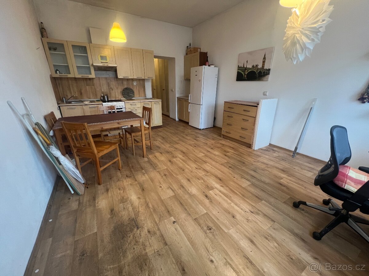 Zařízené 2+kk na Sokolovské, ihned volné, i pro cizince - 4