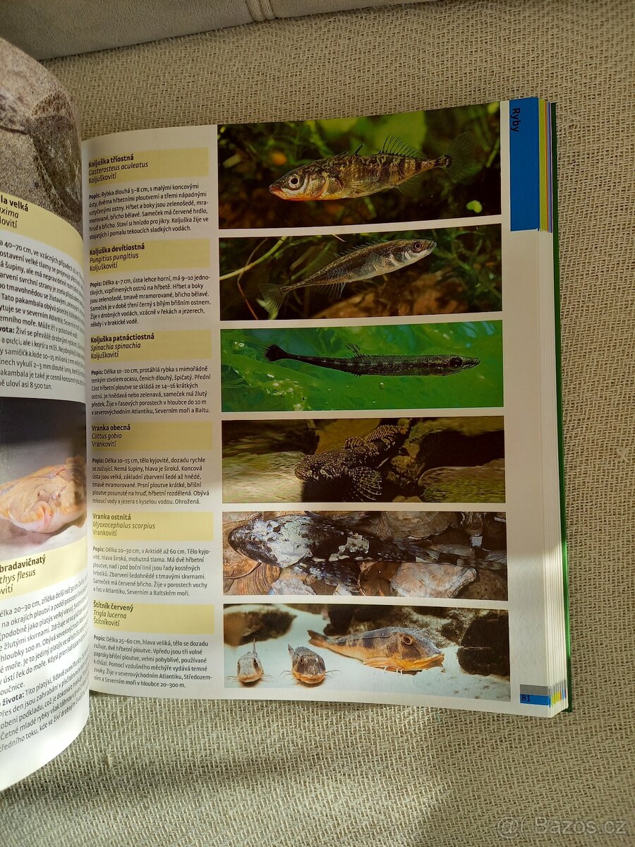 Velká kniha o zvířatech - 4