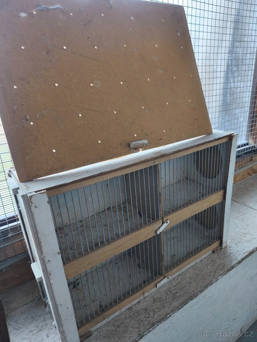 Kanar,zebričky,kletky - 4