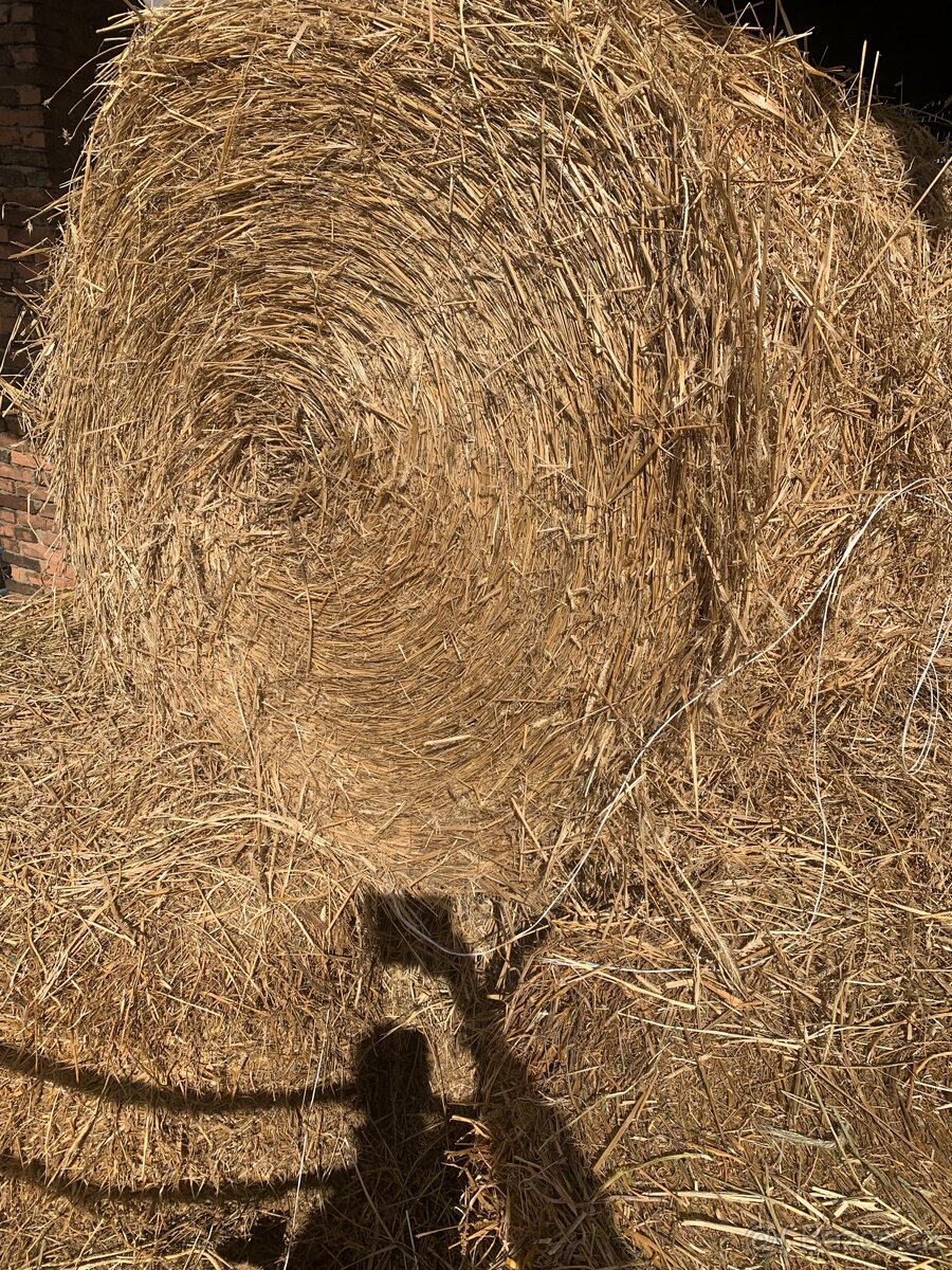 Nová sklizeň Vojtěškové seno,vojtěška,jetel ,sláma - 4