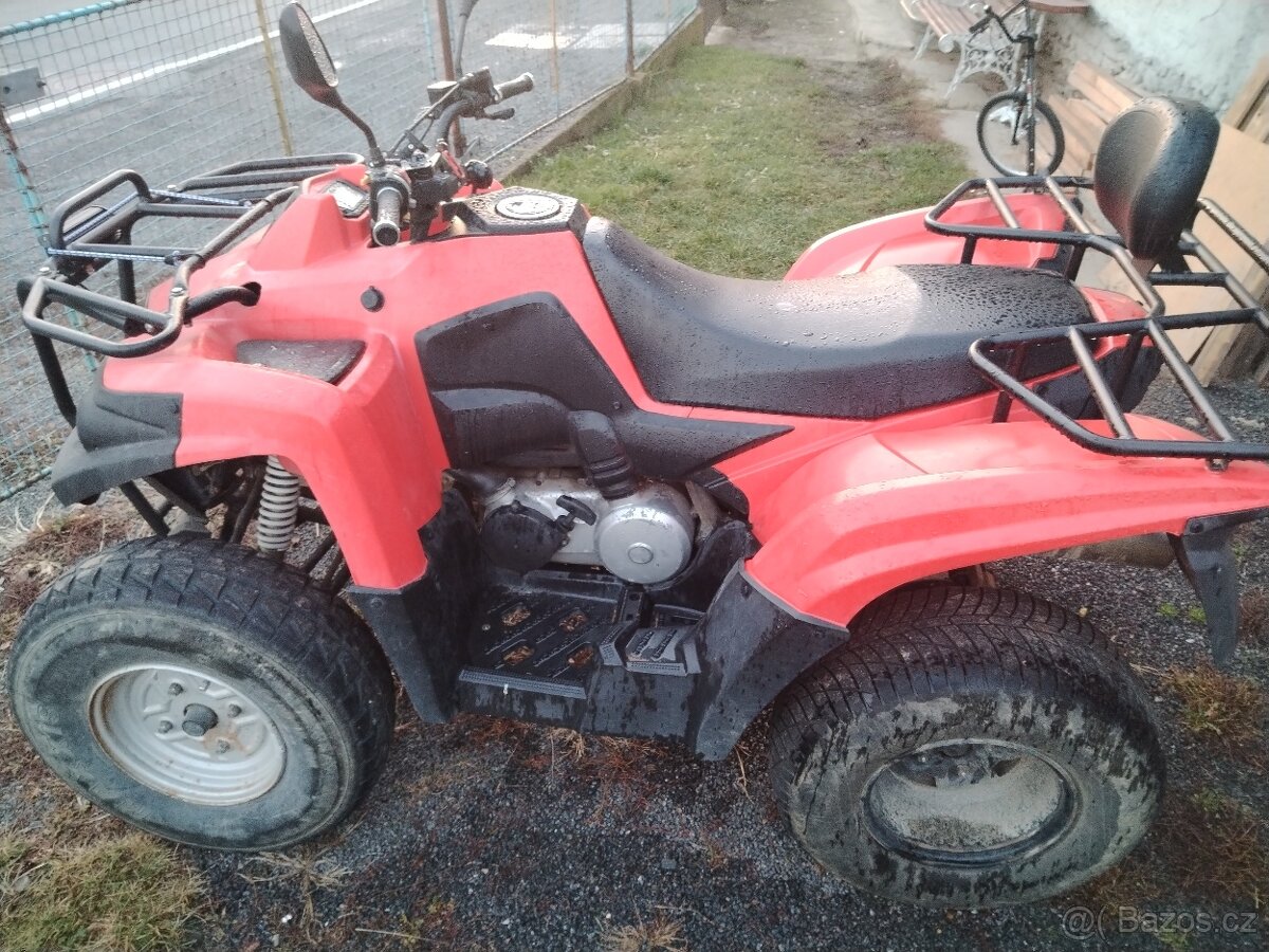 ACCESS MAX 250rv.2007 - 4