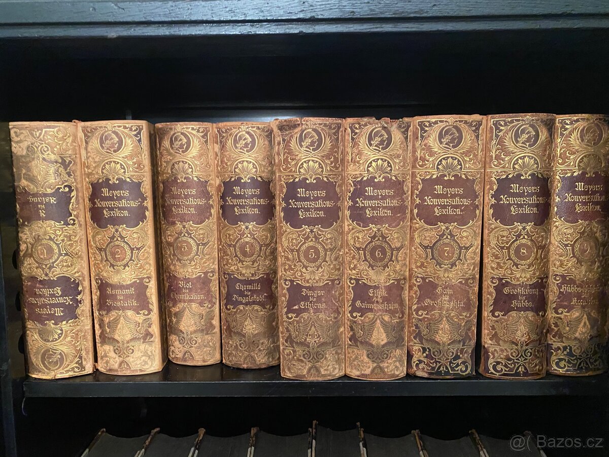 Meyer Konversations Lexikon Luxus Ausgabe - 4