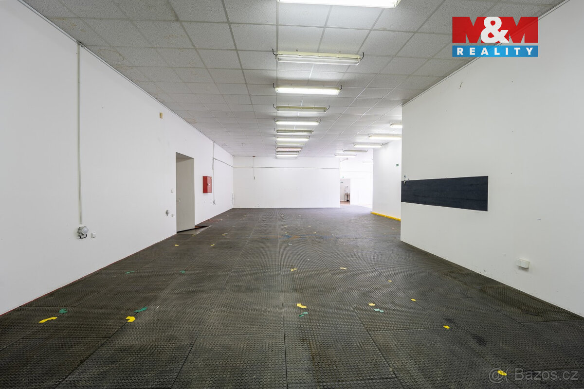 Pronájem skladu, 285 m², Brandýs nad Labem, ul. Kralupská - 4