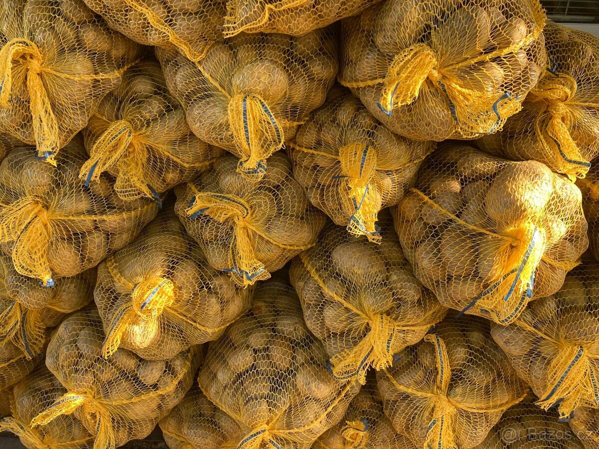 Přebytek ČESKÝCH BRAMBOR 6kč/kg - 4