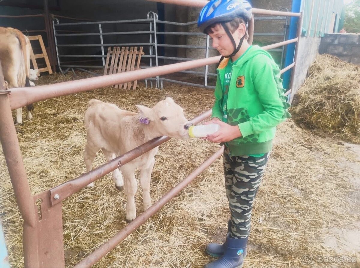 Jezdecký, myslivecký a farmářský kroužek - 4