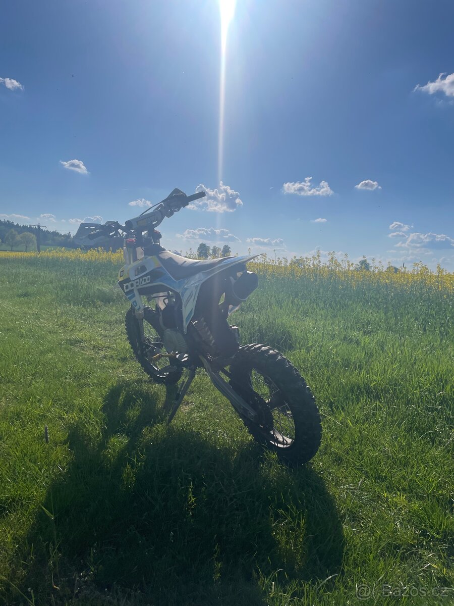Pitbike Dorado DT125