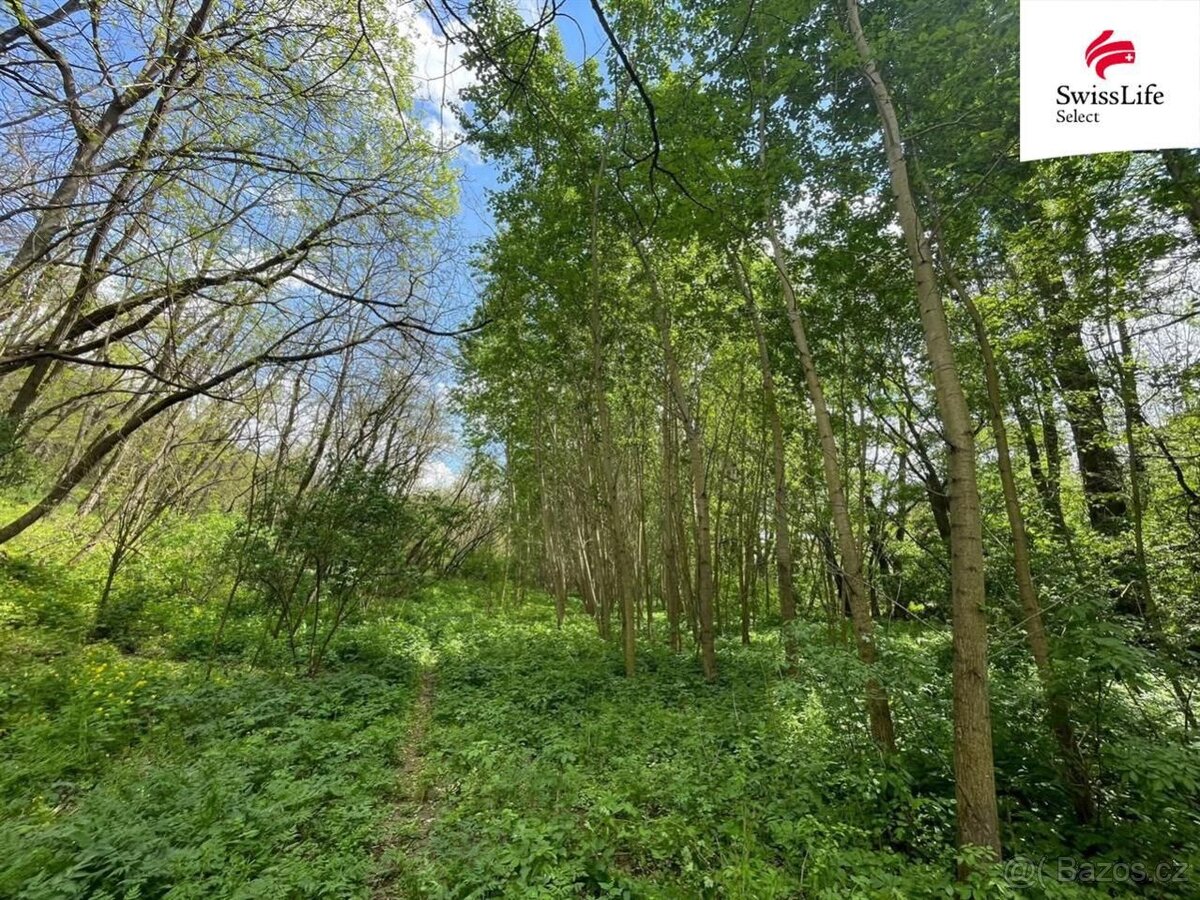 Ostatní