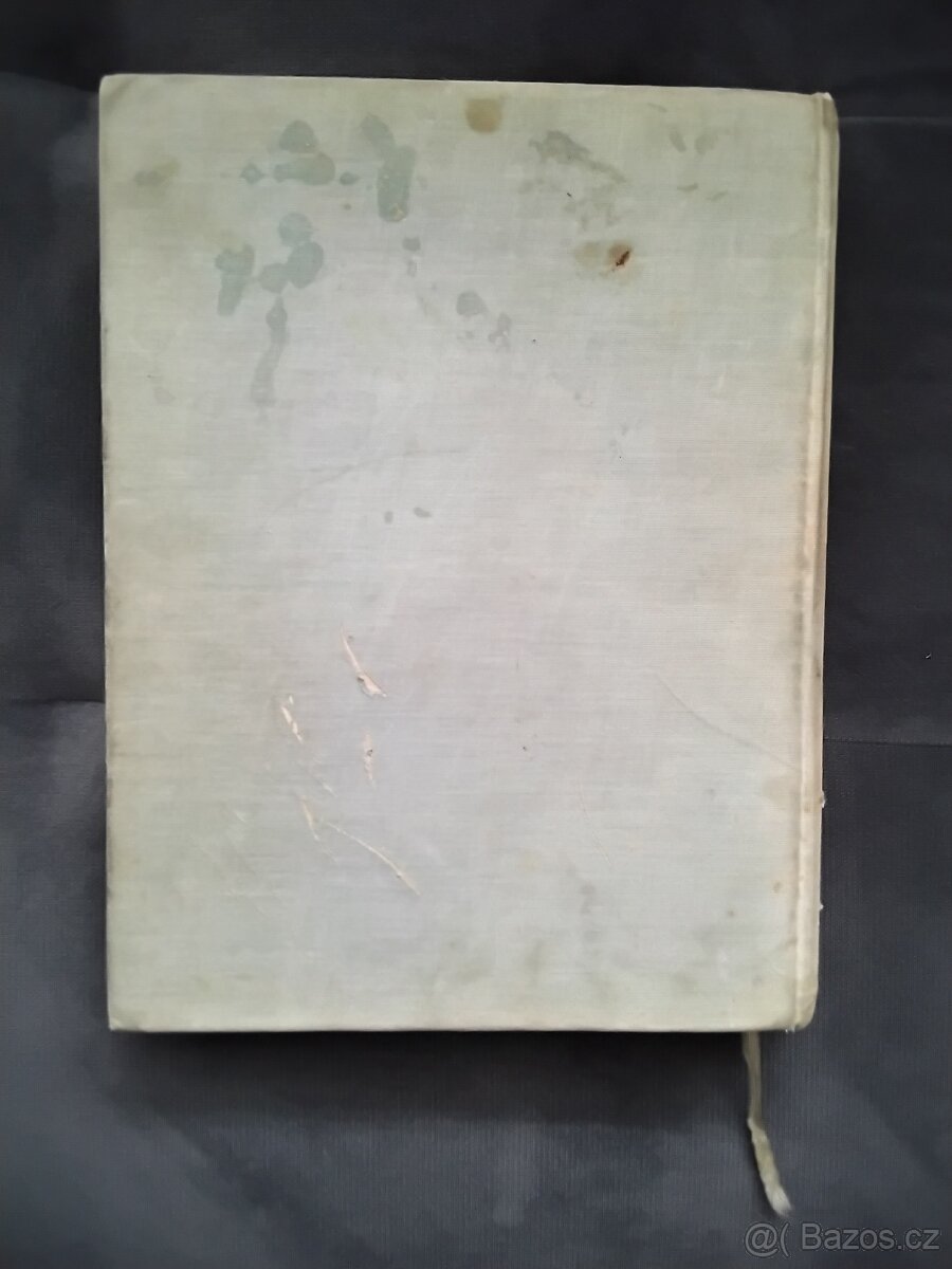 Kniha : Čeští houslaři - 4